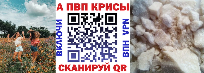 Альфа ПВП СК КРИС  блэк спрут ссылка  Покачи 