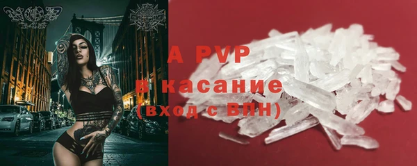 ешки Аркадак