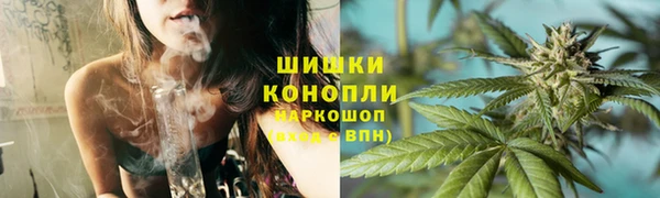 ешки Аркадак