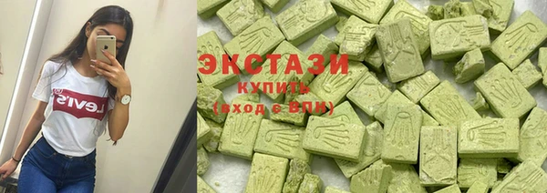 гашик Арсеньев